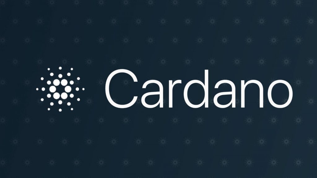 Mis on Cardano võrgustik?
