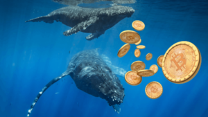 Bitcoin Whales "$ 3B Stash Surge avalikustas jaanuaris andmed