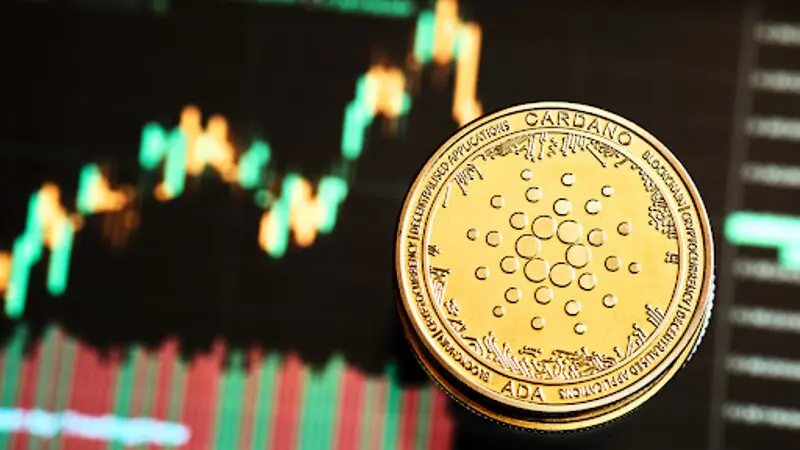 Cardano rahakoti kasv kiireneb