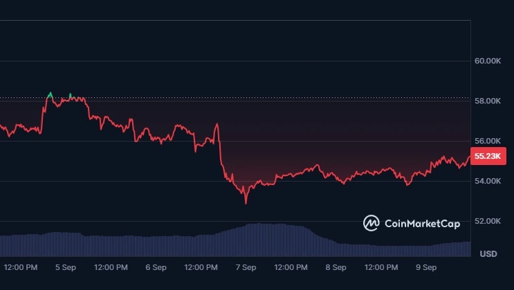 Bitcoini-väärtus-langes-nii-madalale-kui-$52.850