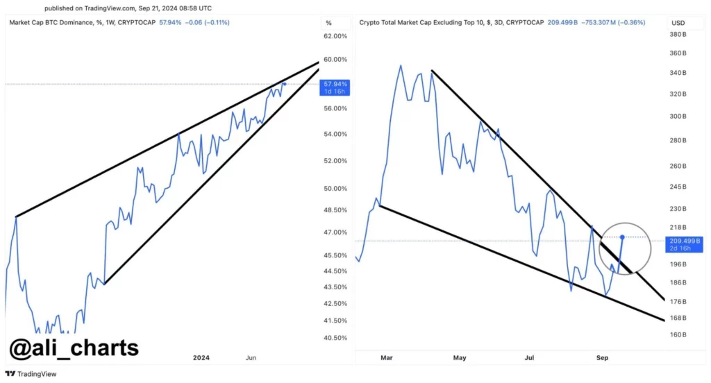 Tõusev-trend-altcoini-turgudel