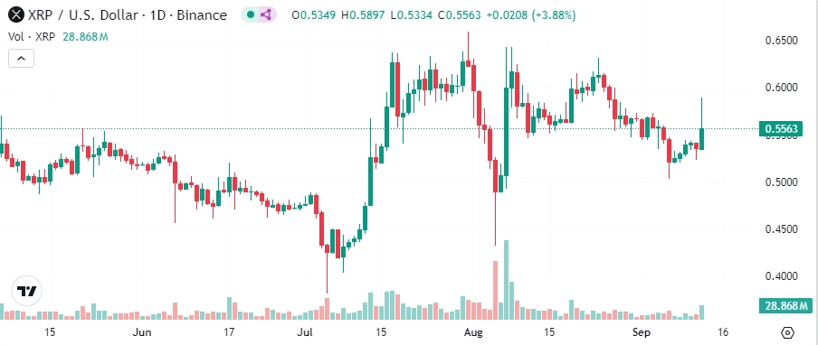 XRP-kasvas-8%